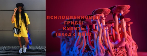 стафф Россошь
