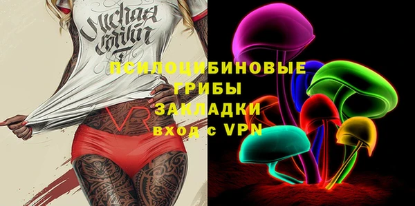 герыч Алексин