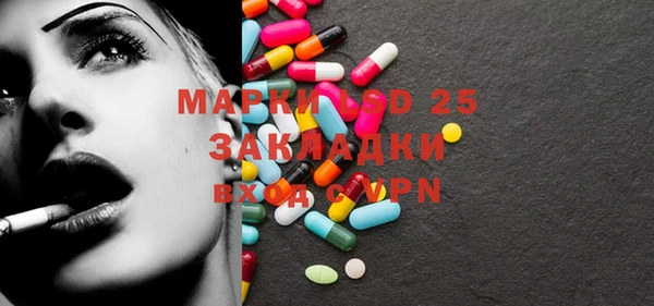 spice Алзамай