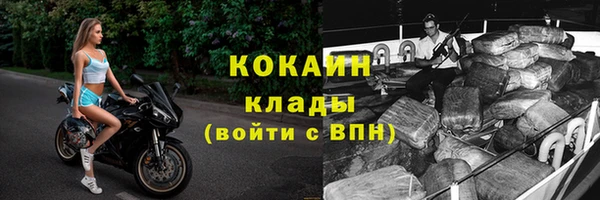 spice Алзамай