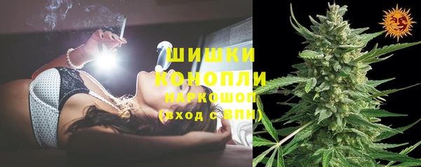 spice Алзамай