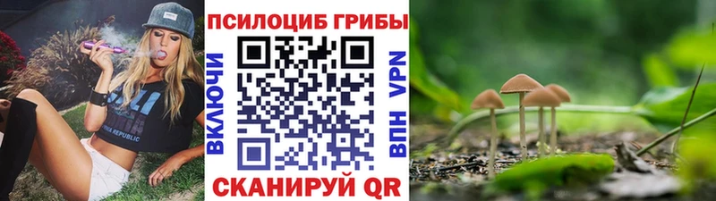 блэк спрут зеркало  что такое наркотик  Кемь  Галлюциногенные грибы Psilocybine cubensis 